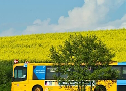 &lt;img alt=&quot;&quot; /&gt;